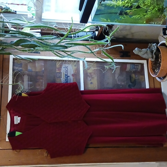 Womans Skirt & Vest S Coldwater Creek NWOT - Picture 2 of 6